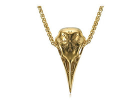 Mens Fashionable Vintage Viking Symbol Skull Eagle Beak Pendant