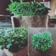Outdoor Eco Friendly Jute Plant Pots (2.8 Liters)