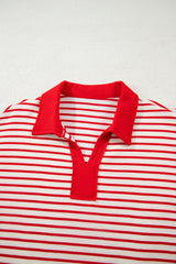 Stripe Collared V-Neck Pullover and Skort Set
